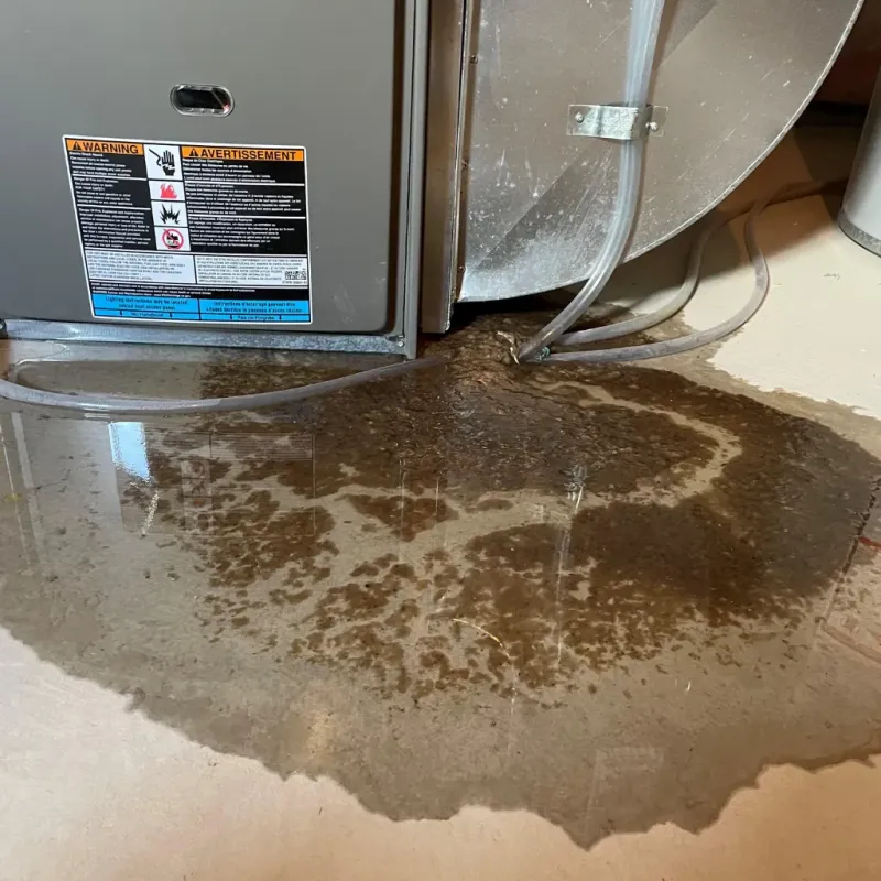 Appliance Leak Cleanup in Pharr, TX