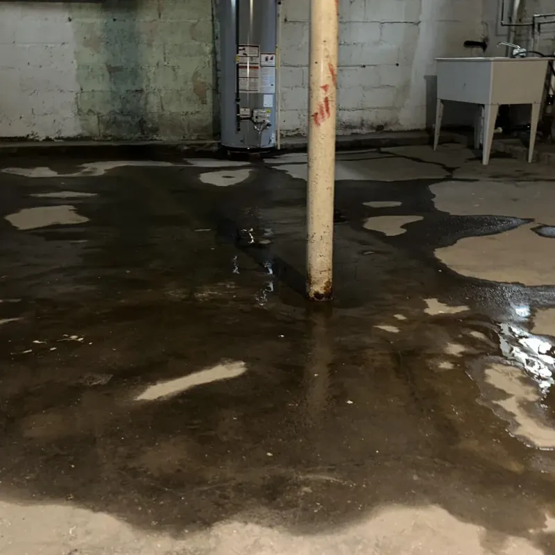 Emergency Water Extraction And Removal in Pharr, TX